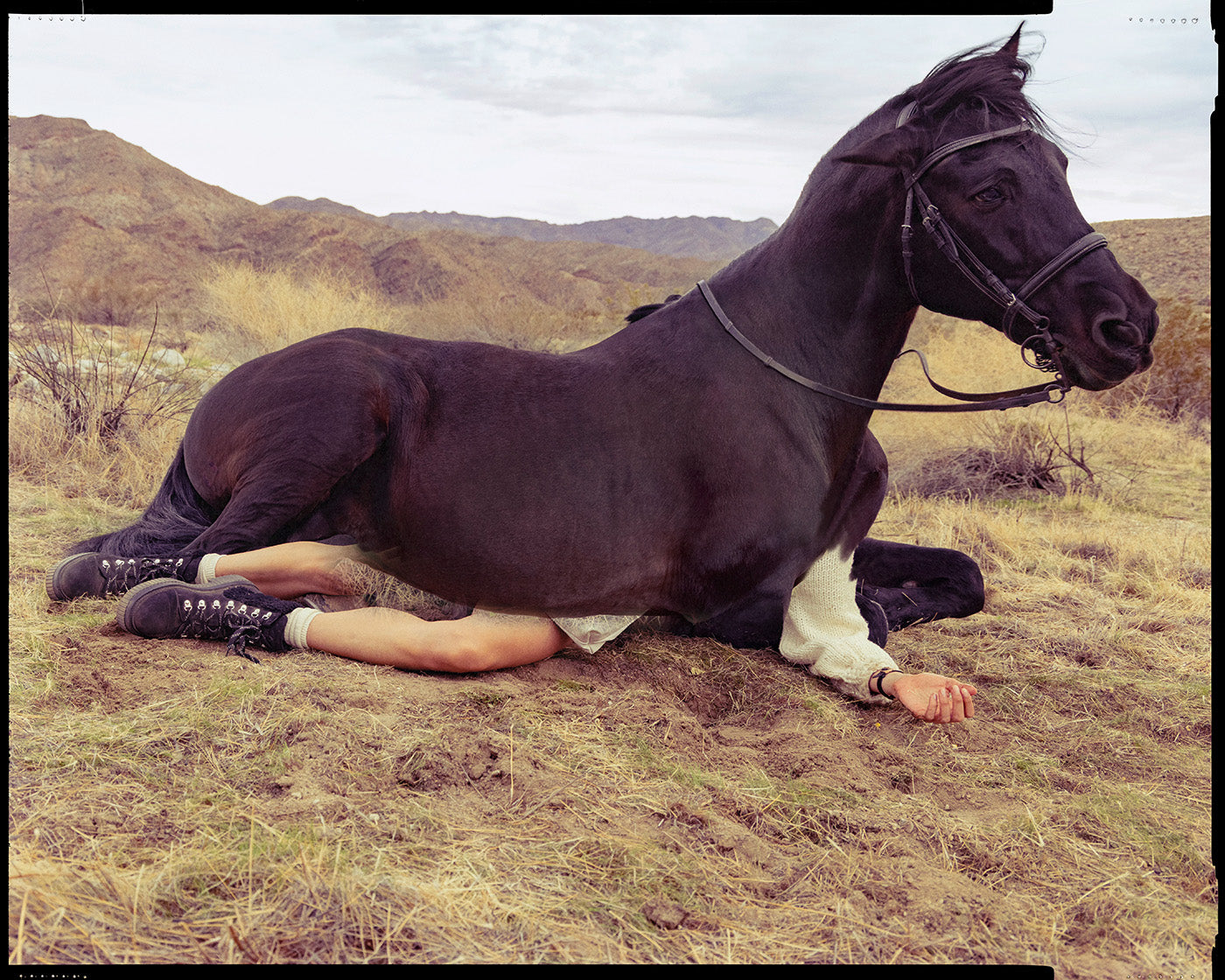 Inez and Vinoodh / REALITY, 2022