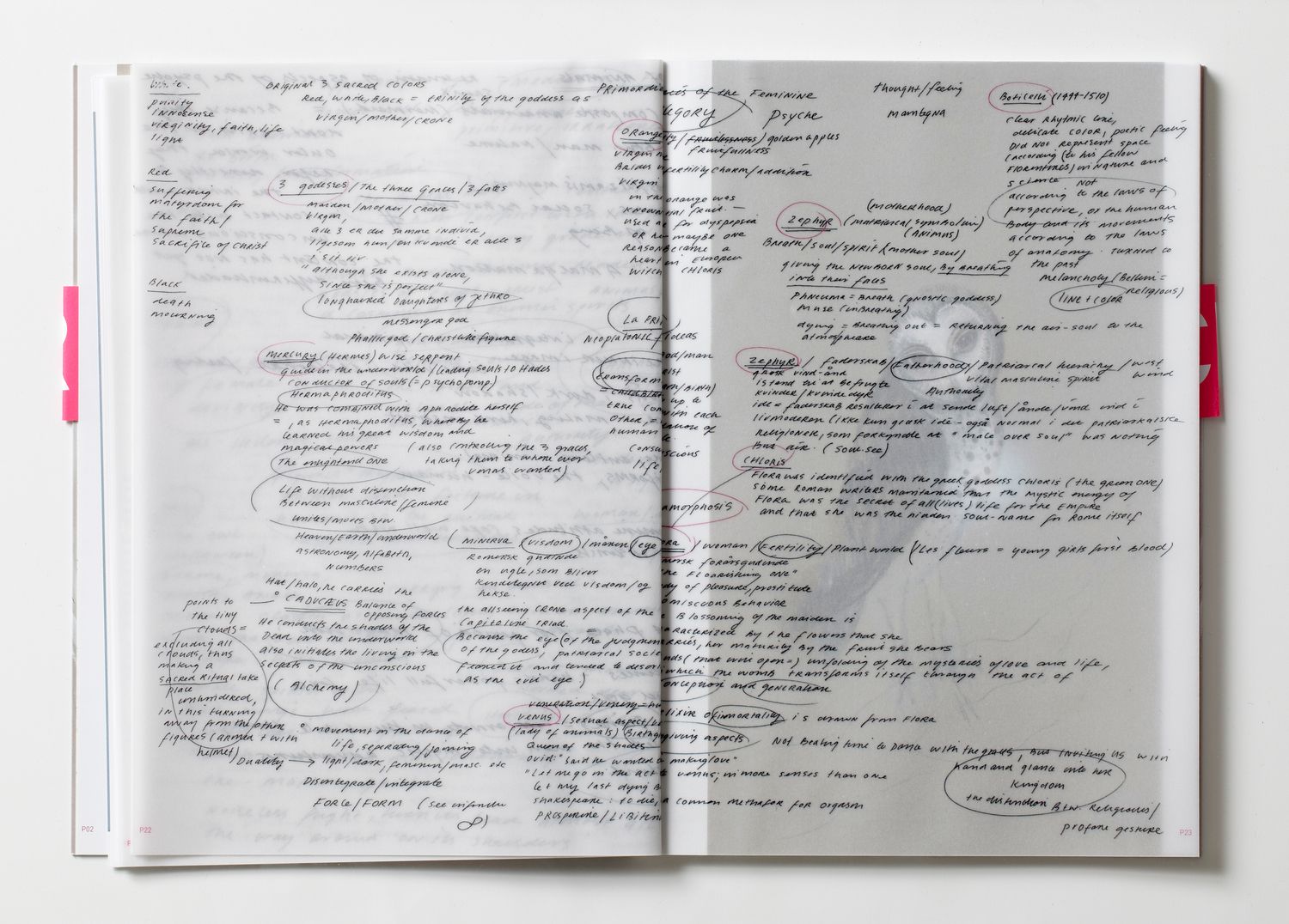 CRD  BOOK | PENELOPE'S WEB, 2006