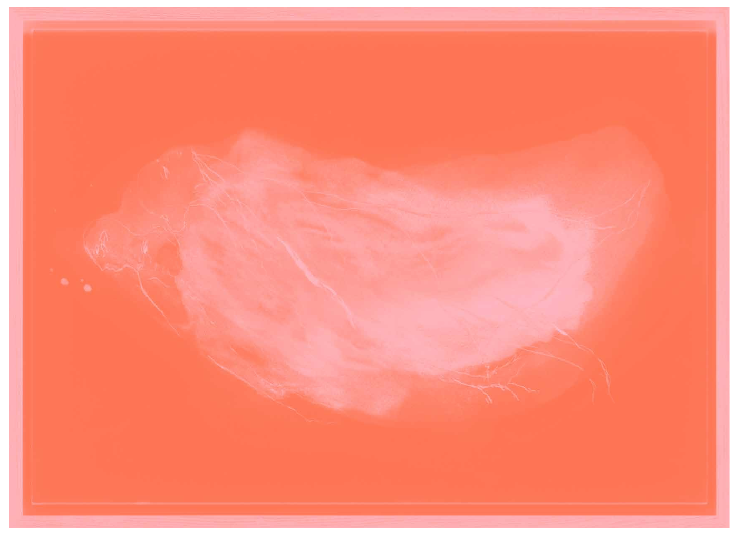 CRD  BOOK | SWOON, 2017