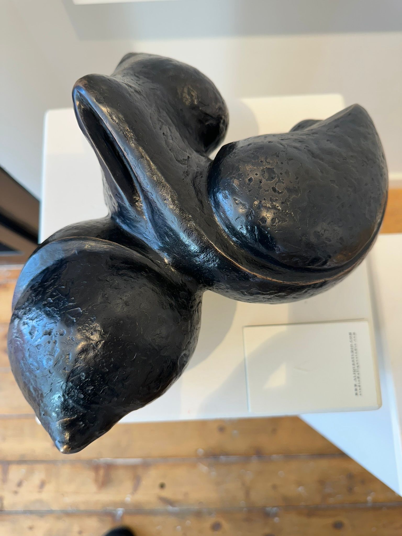 ALIQUE / LIFEFORCE - OXZIDISED BRONZE SCULPTURE