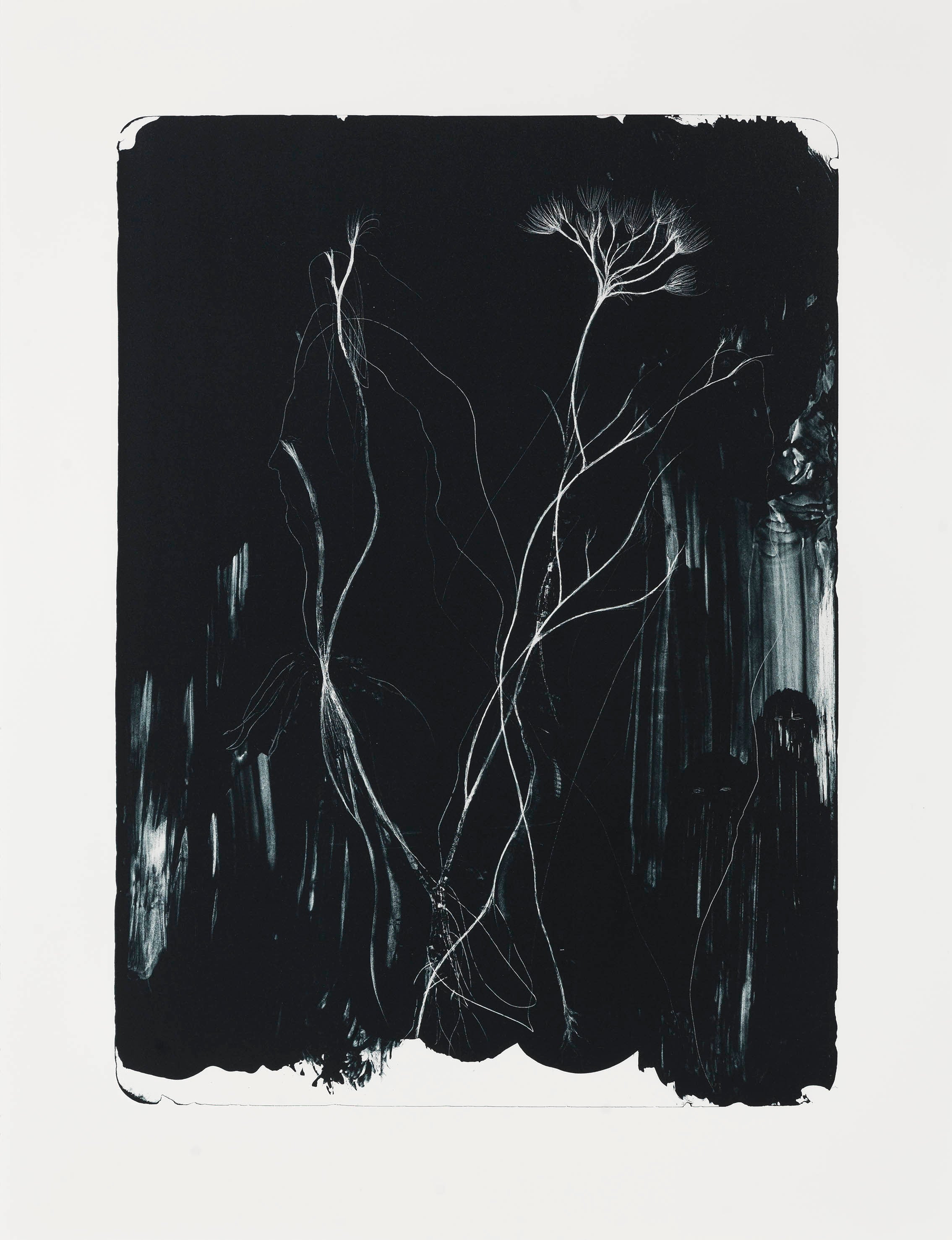 CRD LITHO | THE DWELLING, 2016