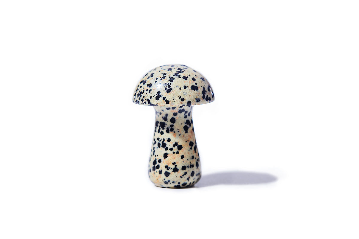 HERBAR / GUA SHROOM, L DALMATIAN