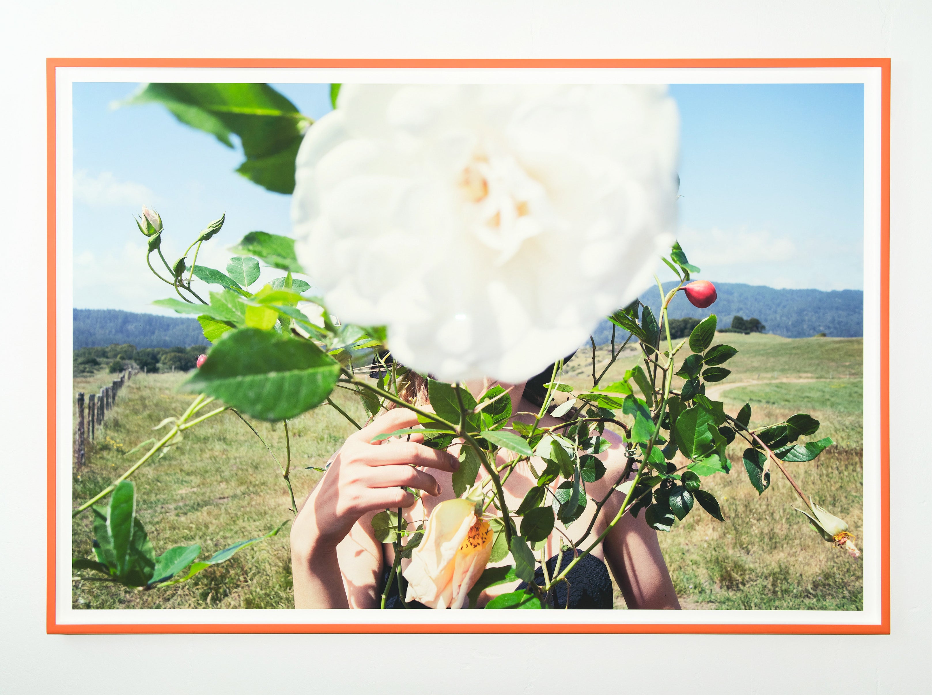 Inez and Vinoodh / LOU AND THE ROSE, 2018