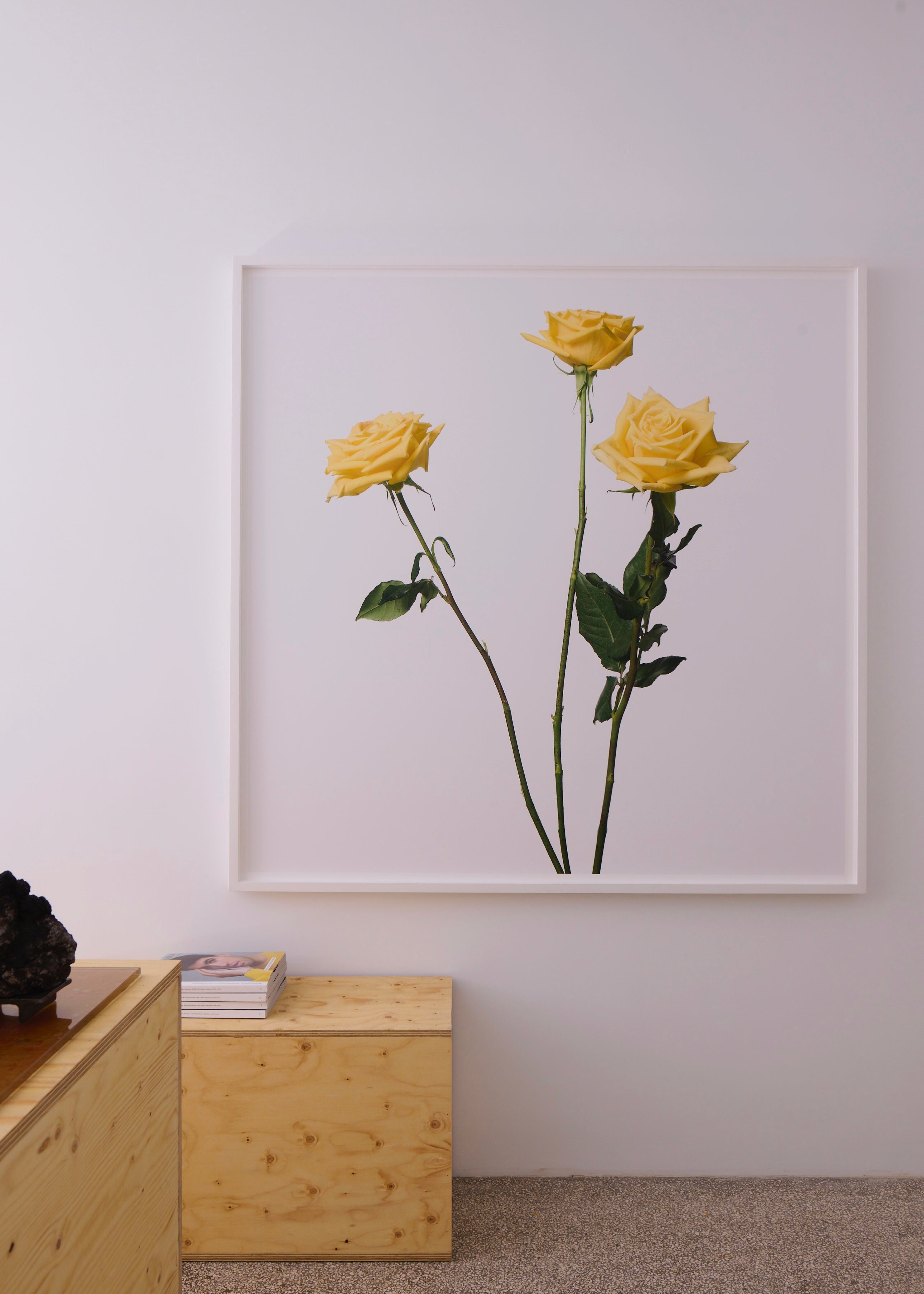 Inez and Vinoodh / 3 YELLOW ROSES, 2013 – RIKA STUDIOS