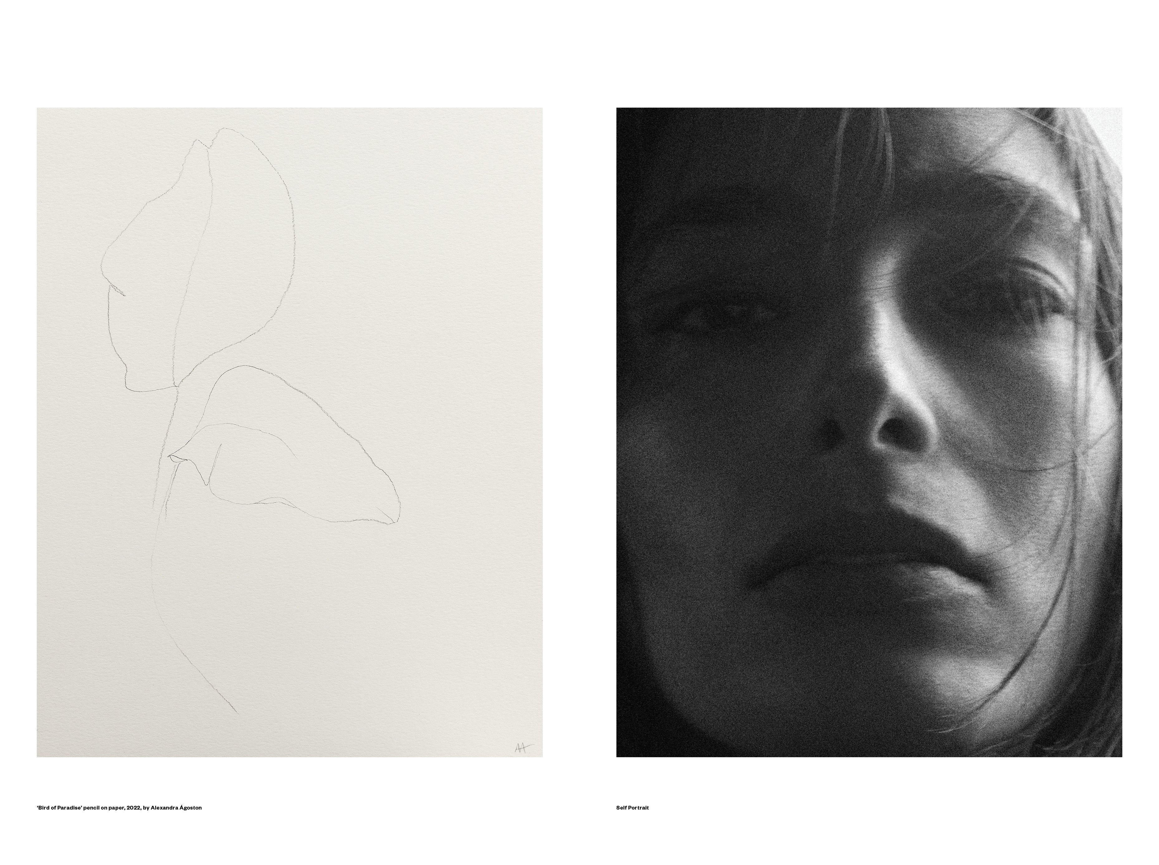 RIKA STUDIOS PAPER EDITION NO.12 2