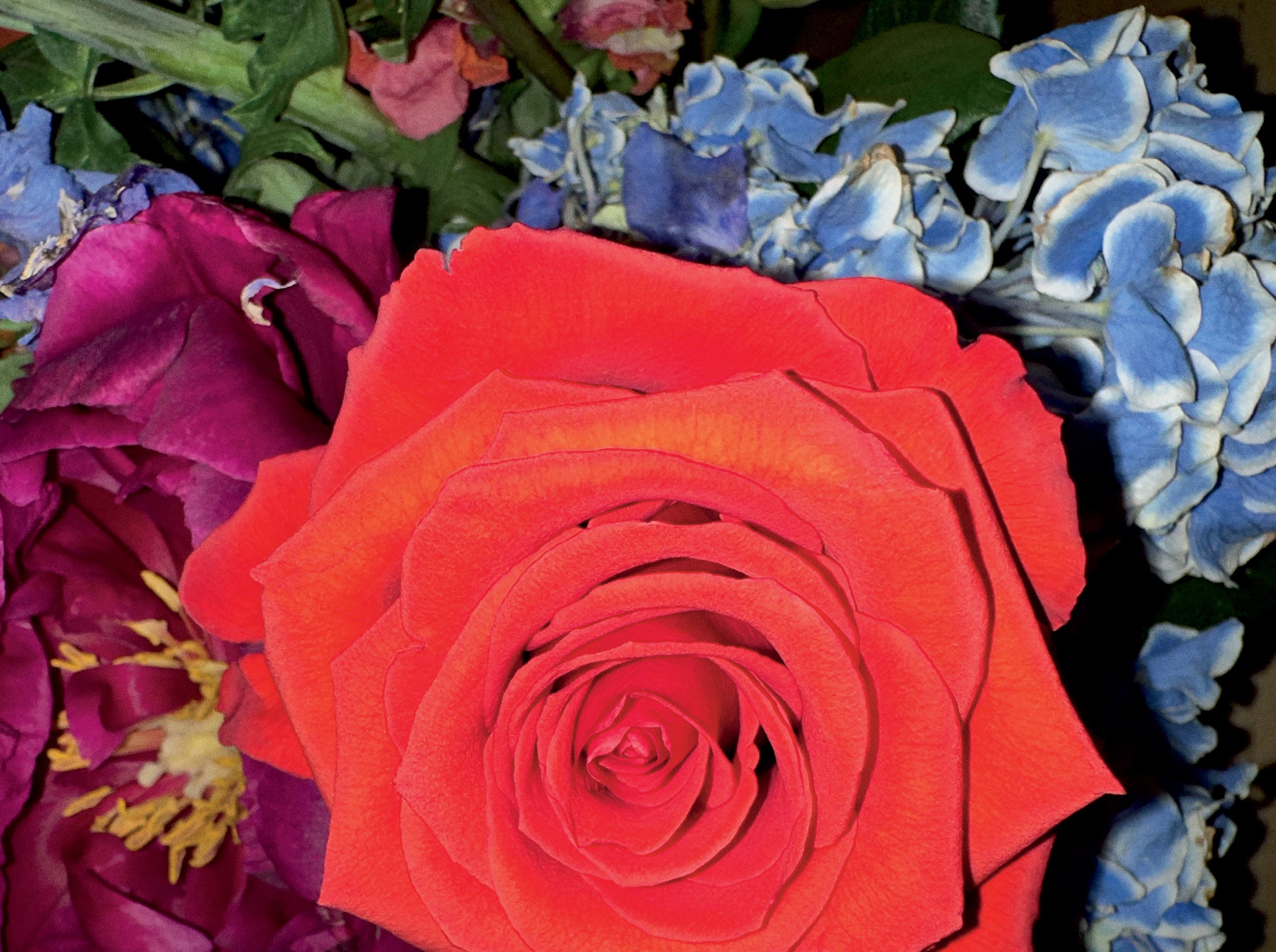 RIKA STUDIOS PAPER NO.8