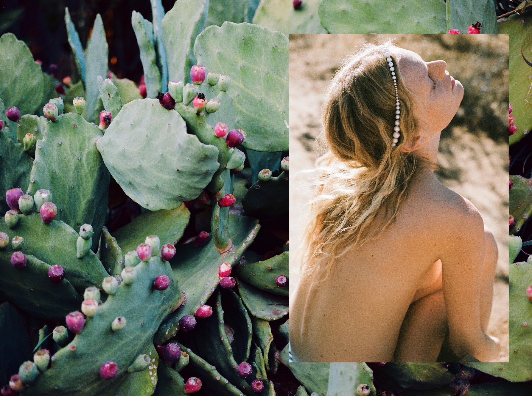 RIKA STUDIOS PAPER NO.5