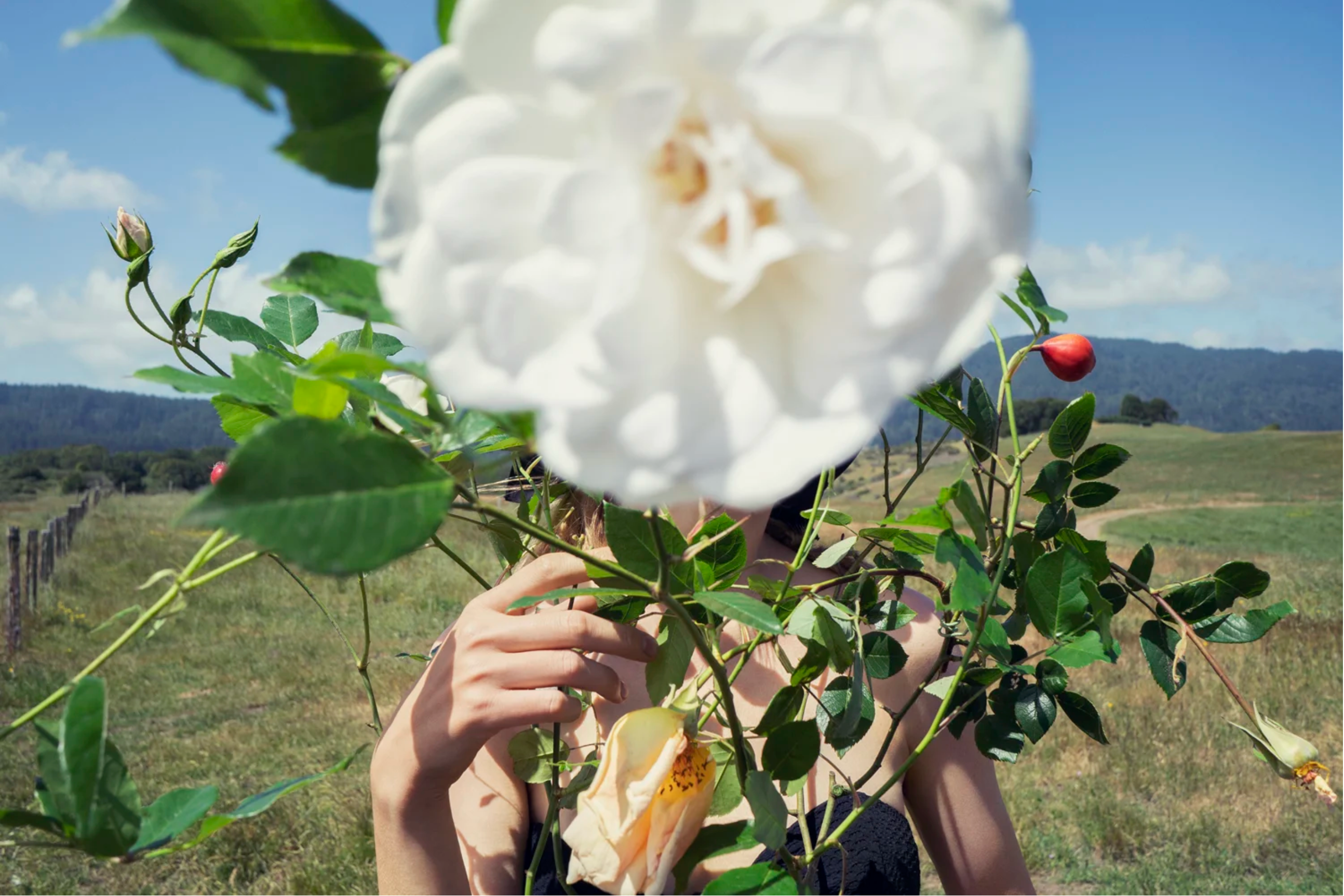 Inez and Vinoodh / LOU AND THE ROSE, 2018