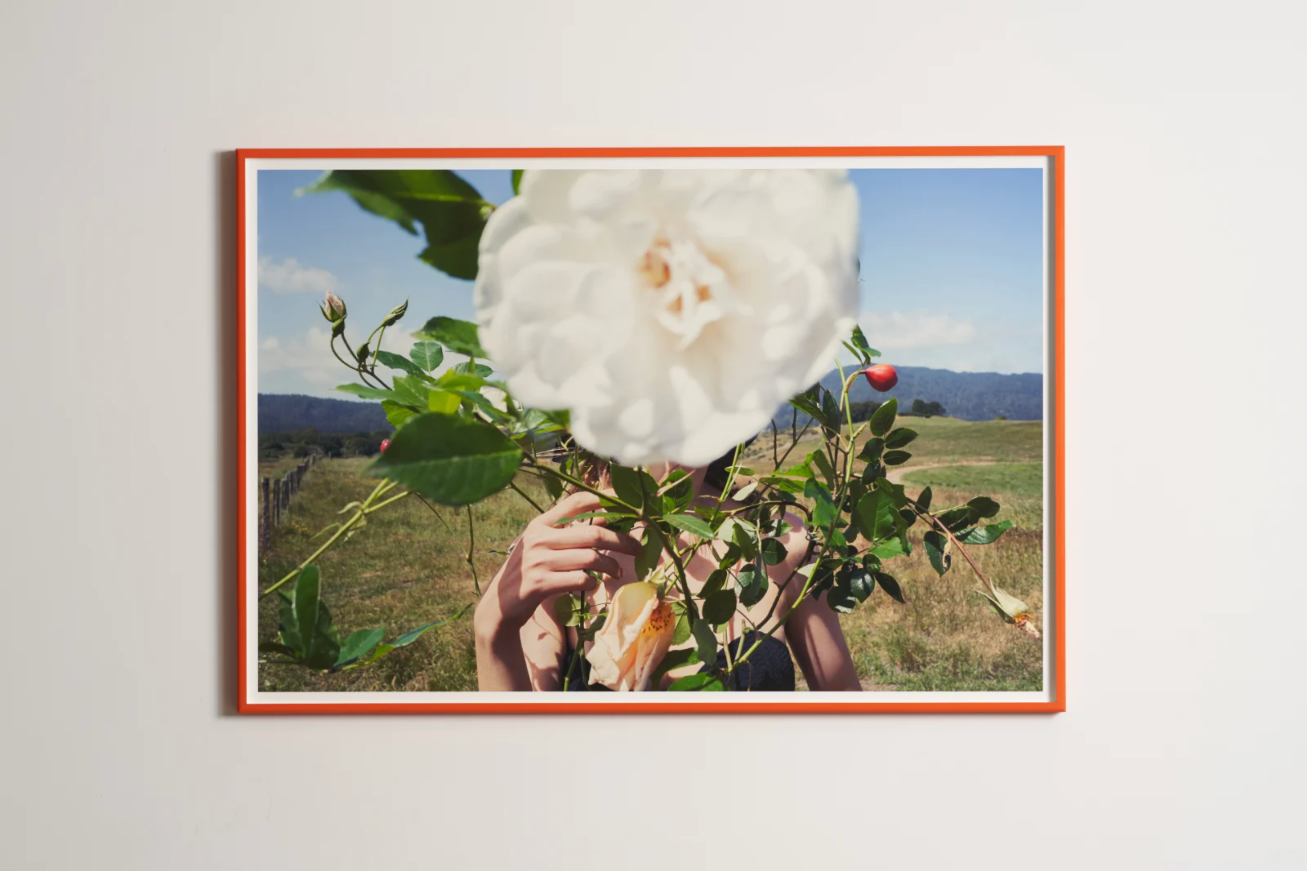 Inez and Vinoodh / LOU AND THE ROSE, 2018