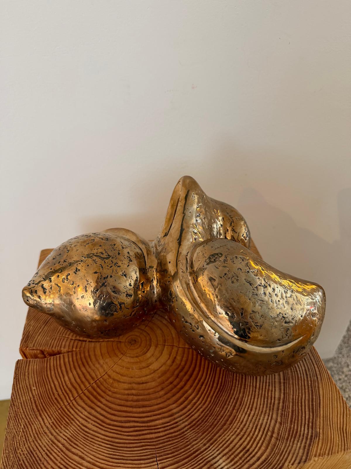 ALIQUE / LIFE FORCE - POLISHED SILICONE BRONZE SCULPTURE
