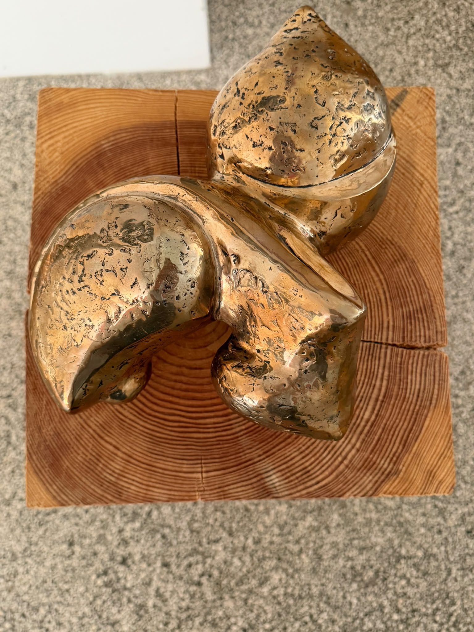 ALIQUE / LIFE FORCE - POLISHED SILICONE BRONZE SCULPTURE
