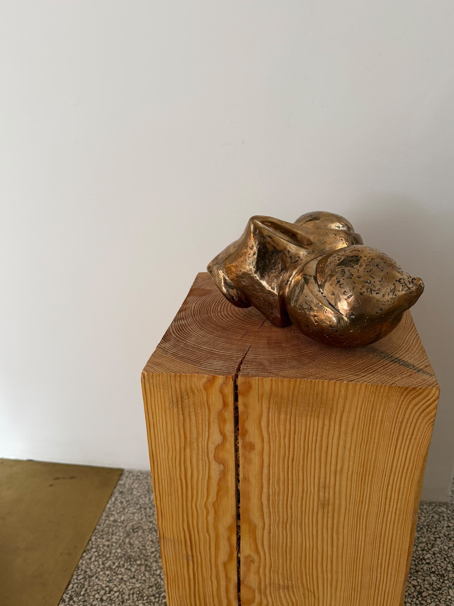 ALIQUE / LIFE FORCE - POLISHED SILICONE BRONZE SCULPTURE
